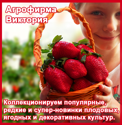 Происхождение и история селекции